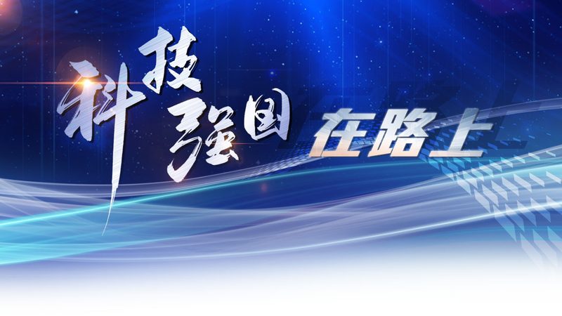 电商数据服务，如何挑选最适合你的解决方案？**